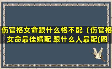 伤官格女命跟什么格不配（伤官格女命最佳婚配 跟什么人最配(图文)）